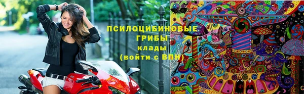 дмт Абинск